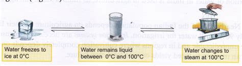 What Are The Different Forms Of Water A Plus Topper