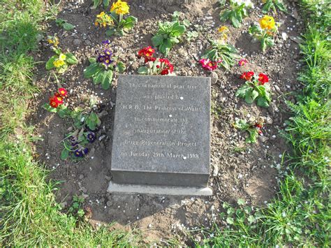 Als schüchternes kindermädchen heiratete sie 1981 den britischen thronfolger charles. Nigel Fisher's Brigg Blog: BRIGG REMEMBERS DIANA, THE ...