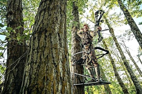 Strong Built Deer Stands Stand Cover Hunter With A Bow In Tree Game