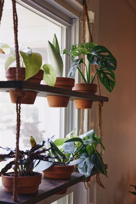 Diy Hanging Shelves For Plants Diy Floating Shelf Decor Dollar Tree