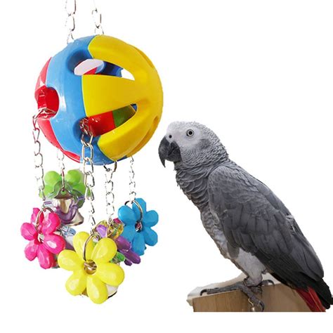 Parrot Chew Toy Pawsify
