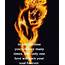 WOMAN OF FIRE ARIES•LEO•SAGITTARIUS