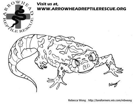 Make a coloring book with gecko baby for one click. Arrowhead Reptile Rescue