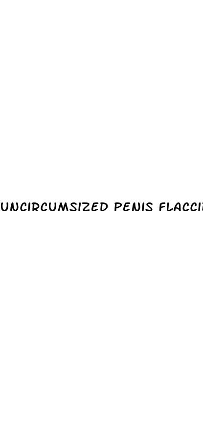Uncircumsized Penis Flaccid And Erect ﻿ecowas