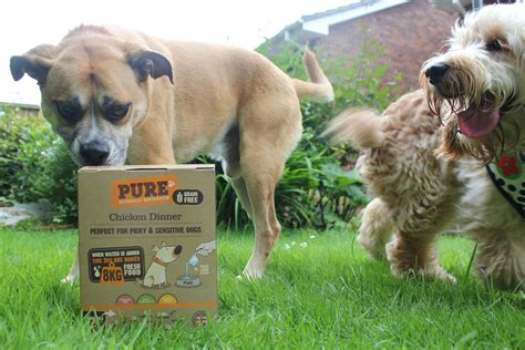 Heart to tail complete dog food, and a pure being grain free dog food. Pure Dog Food Review. Pure Pet Food Review, Updated 2020!