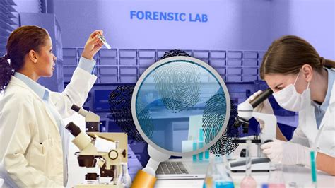 Set Up More Forensic Science Laboratories Kerala High Court To State