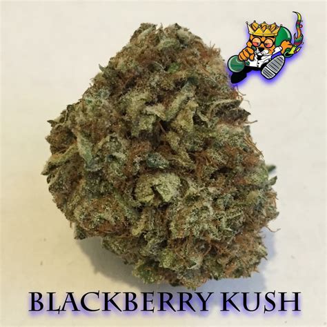 Blackberry Kush Strain Information And Reviews Wheres Weed