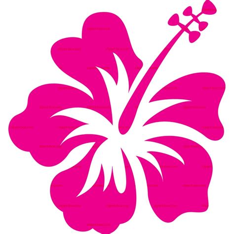 Clipart Of Pink Hawaiian Flower Free Image Download