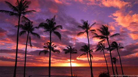 1280x854px Hawaii Sunset Free Wallpapers Desktop Background