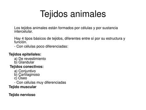 Ppt Tejidos Animales Powerpoint Presentation Free Download Id4187419