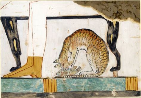 古代和现代dna揭示了猫如何征服世界 中国基因网