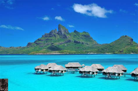 Best Islands To Visit In French Polynesia The Savvy Globetrotter