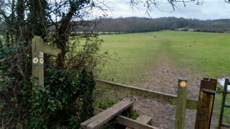 Dog Walk At Blackmoor Copse · Wiltshire · Walkiees