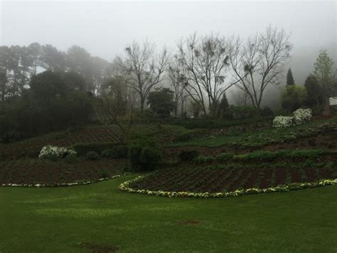 Segundo dados do instituto nacional de meteorologia (inmet), desde dezembro de 1967 a menor temperatura registrada em macapá foi de 19,6 °c em 31 de janeiro de 1996 e a maior atingiu 37,1 °c em 1 de novembro de 2012. Le Jardin - Parque de Lavanda em Gramado