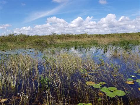 Restoring Americas Everglades Should Be A National Priority Right Now