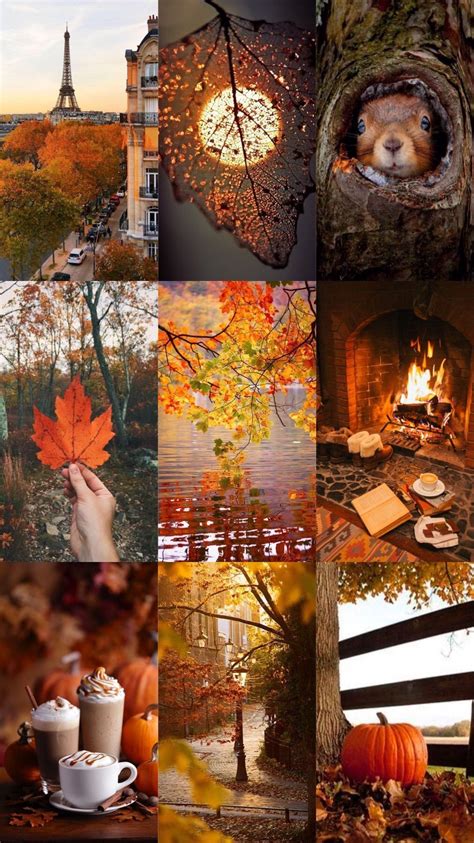 A Collage Of Photos With Autumn Leaves