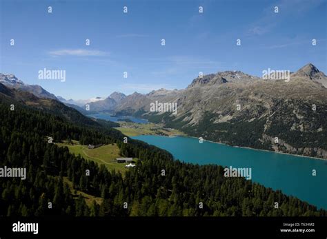 Swiss Alps The Upper Engadin Valley With The Glacier Lakes Sils And
