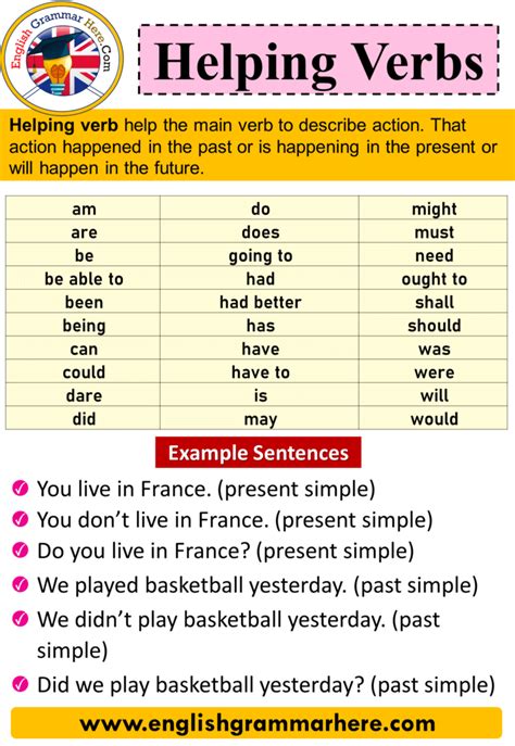 Helping Verbs Examples Sentences Hot Sex Picture