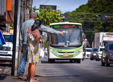 câmara aprova criação de programa de combate ao assédio sexual no transporte coletivo de goiânia