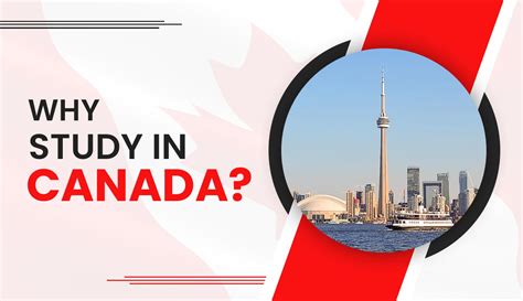 Top 5 Reasons Why You Should Study In Canada 2024 - Gotipstechs.com