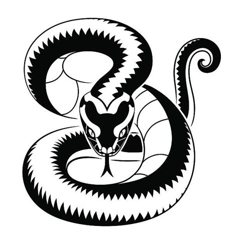 Best Viper Snake Illustrations Royalty Free Vector Graphics And Clip Art