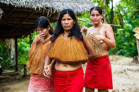How Many Uncontacted Tribes Are Left In The World Worldatlas Free Nude Porn Photos