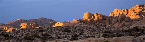 Mojave Desert Inventory And Monitoring Network Us