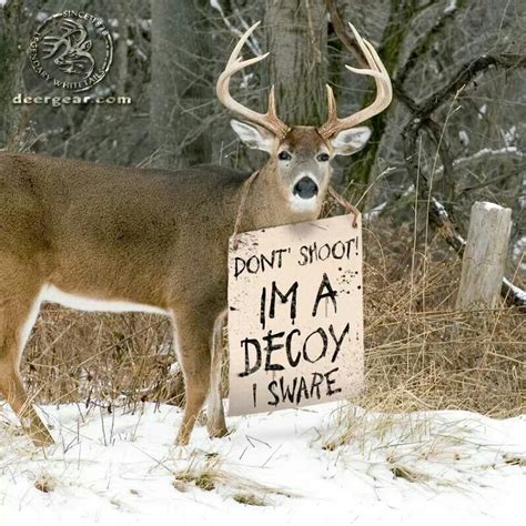 List Of Deer Hunting Jokes Images References