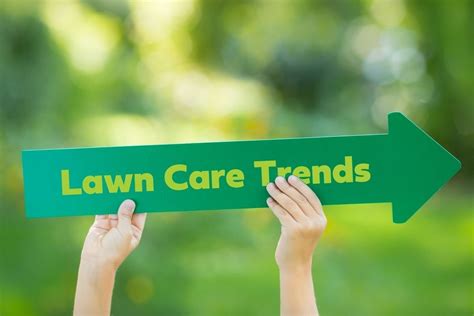 Lawn Care Trends And Updates For 2022 Crewcut Lawn And Garden