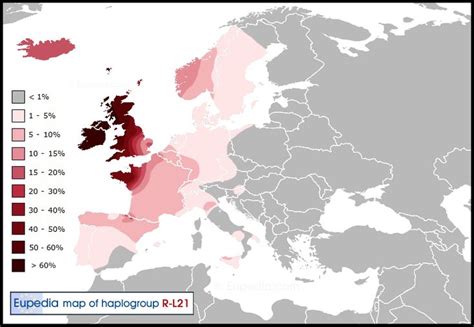 Maps Of Y Dna Haplogroups In And Around Europe Celte Protohistoire