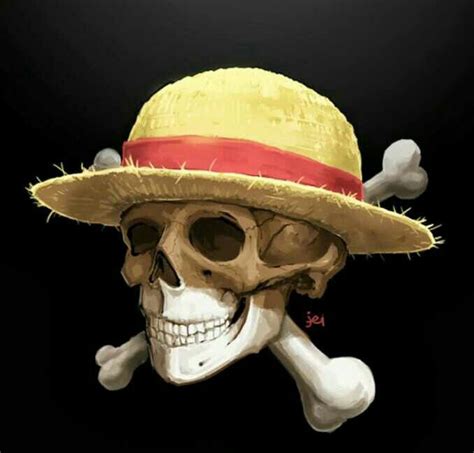 Pin By Sanji On One Piece One Piece Piecings Skull