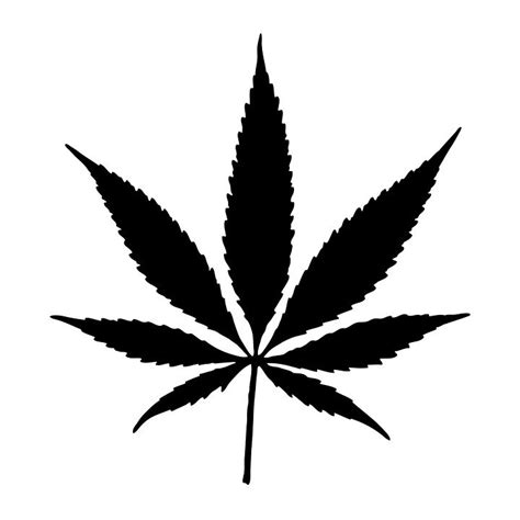 Foto über marihuana (hanf) auf dem weißen hintergrund. Cannabis Topf Blatt · Kostenloses Bild auf Pixabay