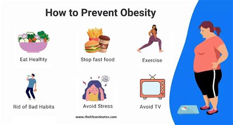 Obesity And How To Prevent Obesity The Life And Notes