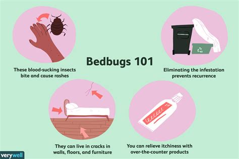 How Bedbugs Are Treated