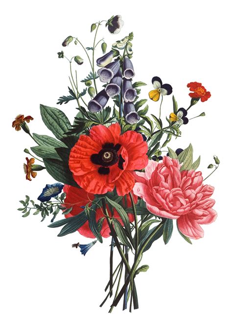 Pin By Virgínia Pohl On Clip Art Vintage Flower Prints Floral