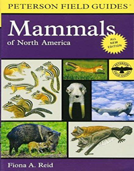 Peterson Field Guide To Mammals Of North America 4th Edition Pdflibrary
