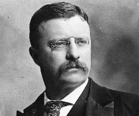 10 Major Accomplishments Of Theodore Roosevelt Learno