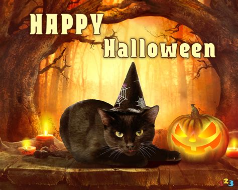 Black Cat Halloween Send Free Ecards From