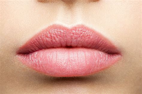 Natural Frosted Pink Lips Stock Photo Download Image Now Istock