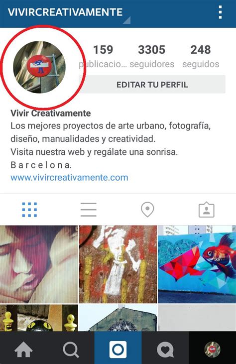 Cómo Cambiar Mi Foto De Perfil De Instagram 5 Pasos