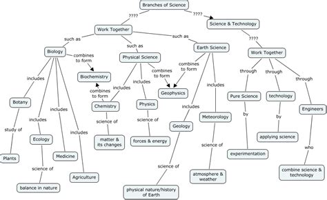 Branches Of Science Concept Map