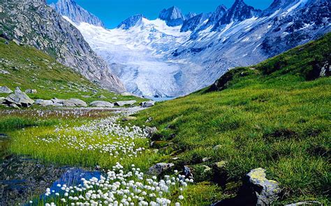 Hd Wallpaper Rocky Mountain Snow Alps River Meadow With Green Grass