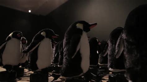 Penguins Ping Coub The Biggest Video Meme Platform