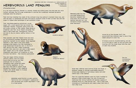 Penguins Evolution The Penguin Evolution Storyboard By 5de6035b Why