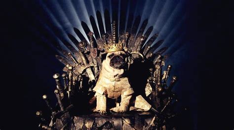 60 Great Dog Names For Game Of Thrones Fans The Dog People By