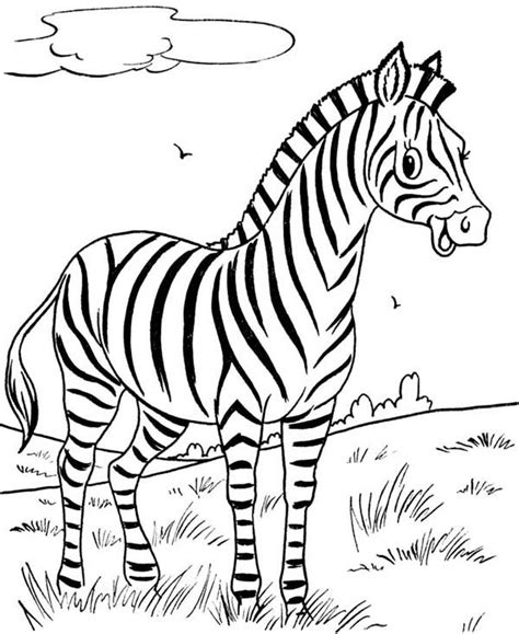 1200 x 1600 px download. Baby Zebra Coloring Pages at GetDrawings | Free download