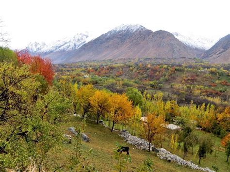 Gorgeous Photos Of Afghanistans Peaceful Landscapes Vice United States