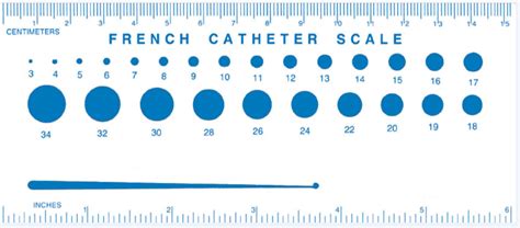 Urinary Catheter Types And Sizes And How To Choose 49 Off