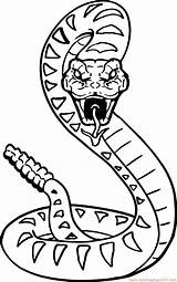Cobra Coloring Pages King Snake Print Color Kids sketch template