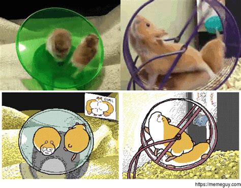 I Love Hamsters Meme Guy